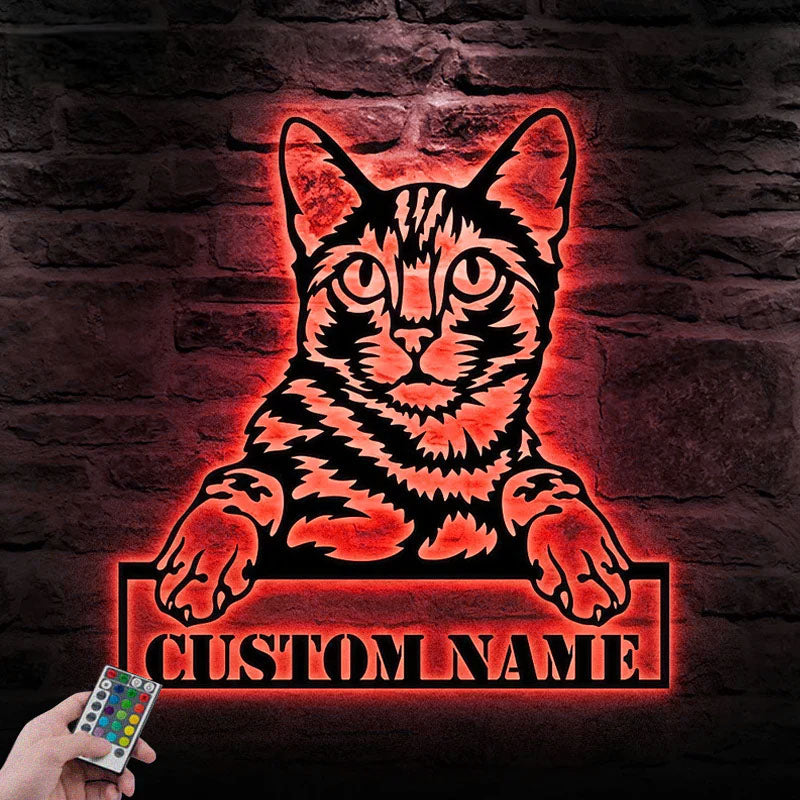 Custom Name Cat Cute, Metal Wall Signs With RGB Led Light