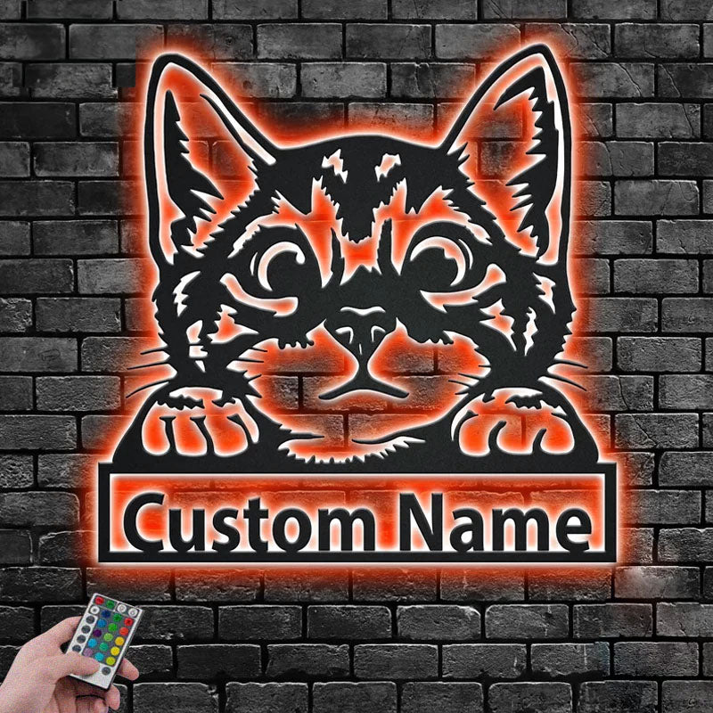 Custom Name Cat Name Sign Decoration For Room, Metal Wall Signs With RGB Led Light