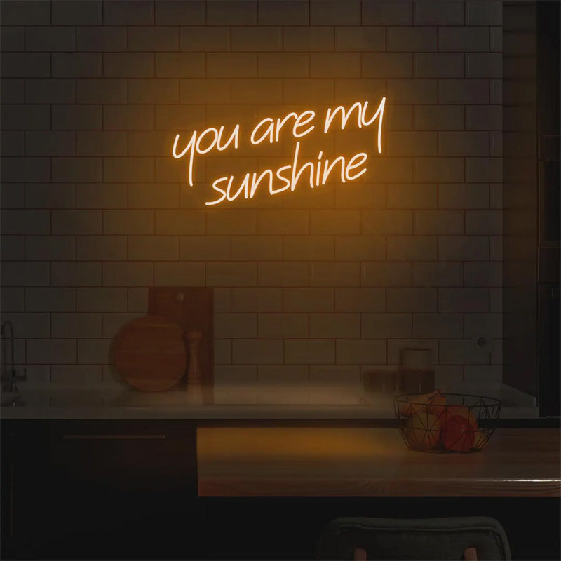 You Are My Sunshine Romantic Quote Neon Wall Art - LEDTOT