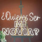 ¿Quieres Ser Mi Novia? Proposal Neon Sign - LEDTOT