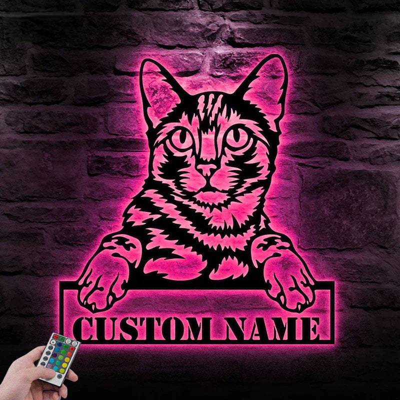 Custom Name Cat Cute, Metal Wall Signs With RGB Led Light