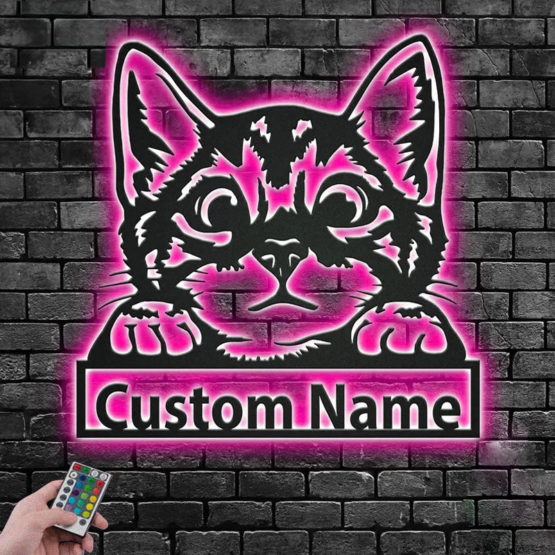 Custom Name Cat Name Sign Decoration For Room, Metal Wall Signs With RGB Led Light