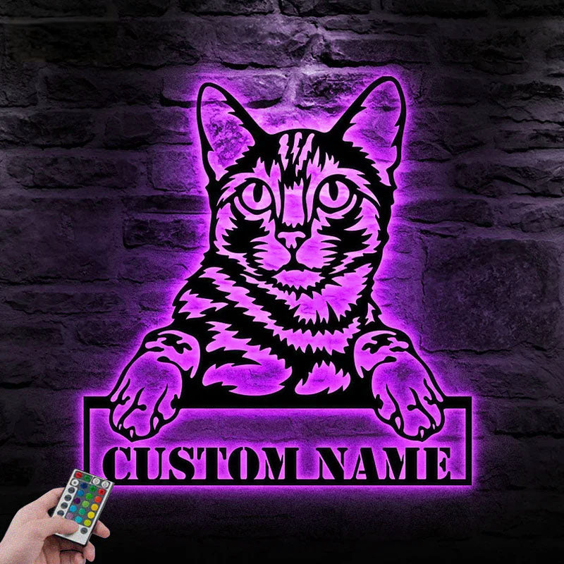 Custom Name Cat Cute, Metal Wall Signs With RGB Led Light