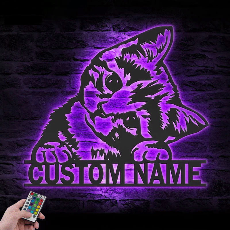 Personalized Cute Cat, Metal Wall Signs With RGB Led Light