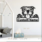 Personalized American Pit Bull, Metal Wall Signs With RGB Led Light