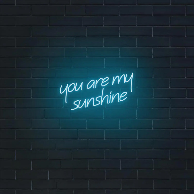 You Are My Sunshine Romantic Quote Neon Wall Art - LEDTOT