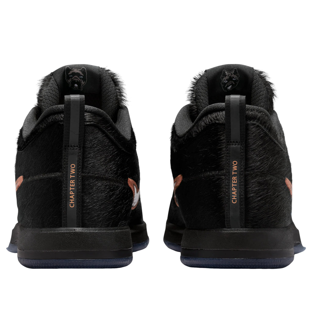 Nike Book 2 Haven & Hector IX1832-001