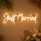 Beach & Summer Party Neon Signs - Just Married Glow