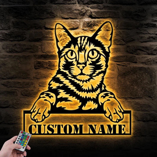 Custom Name Cat Cute, Metal Wall Signs With RGB Led Light