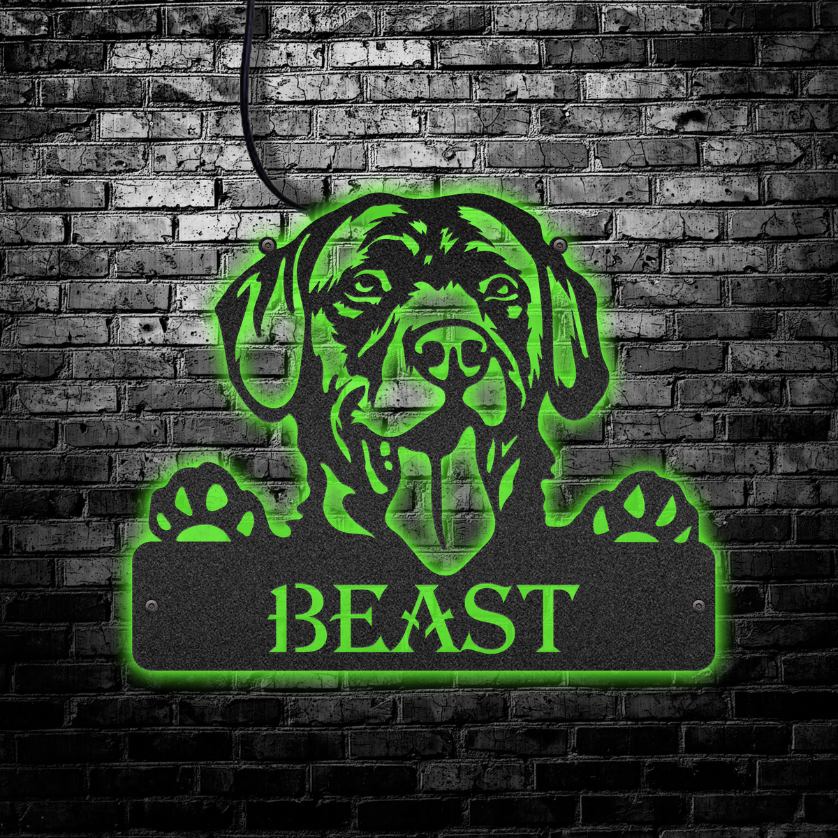 12"x12" Labrador Retriever Dog Personalized - Led Light Metal - Owls Matrix LTD