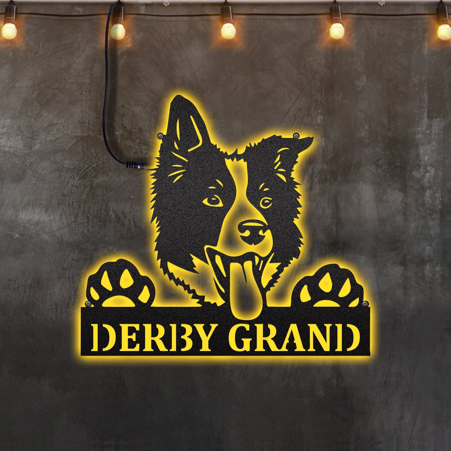 12"x12" Border Collie Dogs Personalized - Led Light Metal - Owls Matrix LTD