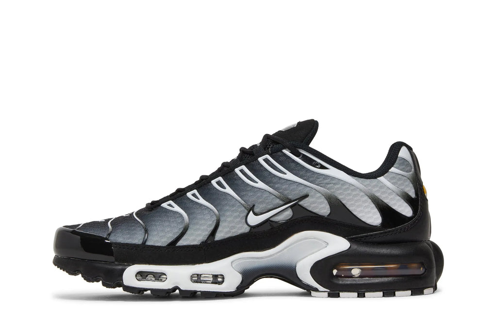 Air Max Plus 'Black Metallic Silver' DM0032-003