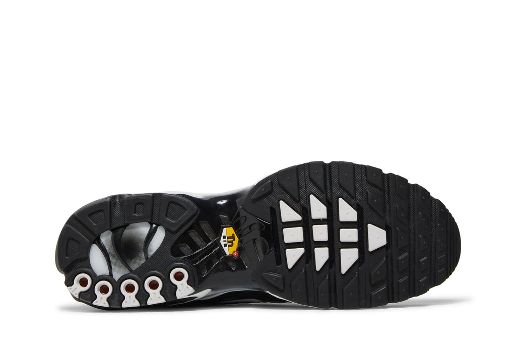 Air Max Plus 'Black Metallic Silver' DM0032-003