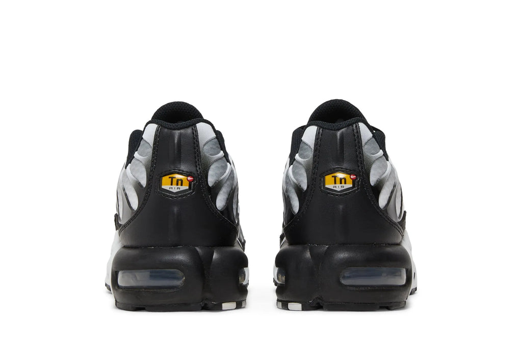 Air Max Plus 'Black Metallic Silver' DM0032-003