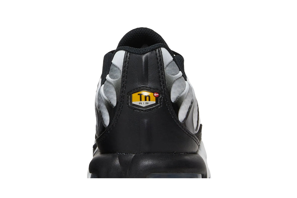Air Max Plus 'Black Metallic Silver' DM0032-003