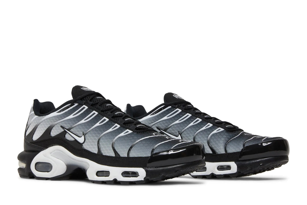 Air Max Plus 'Black Metallic Silver' DM0032-003