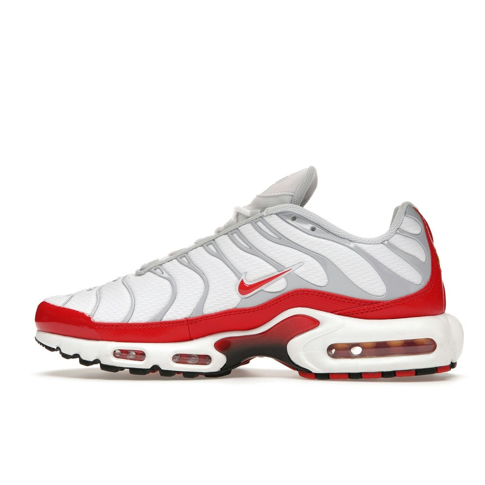 Nike Air Max Plus Air Max 1 DM8332-100