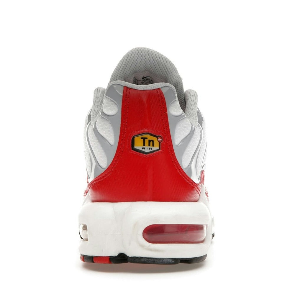 Nike Air Max Plus Air Max 1 DM8332-100