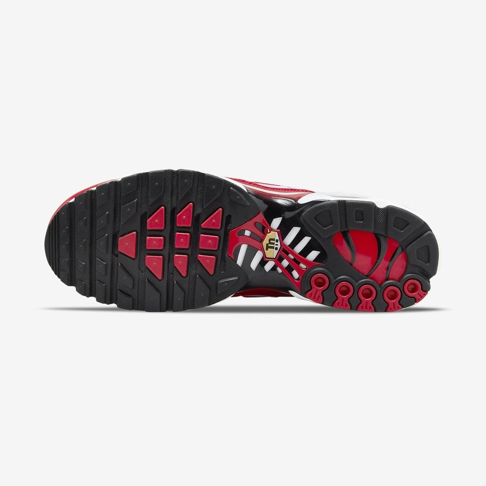 Nike Air Max Plus Air Max 1 DM8332-100