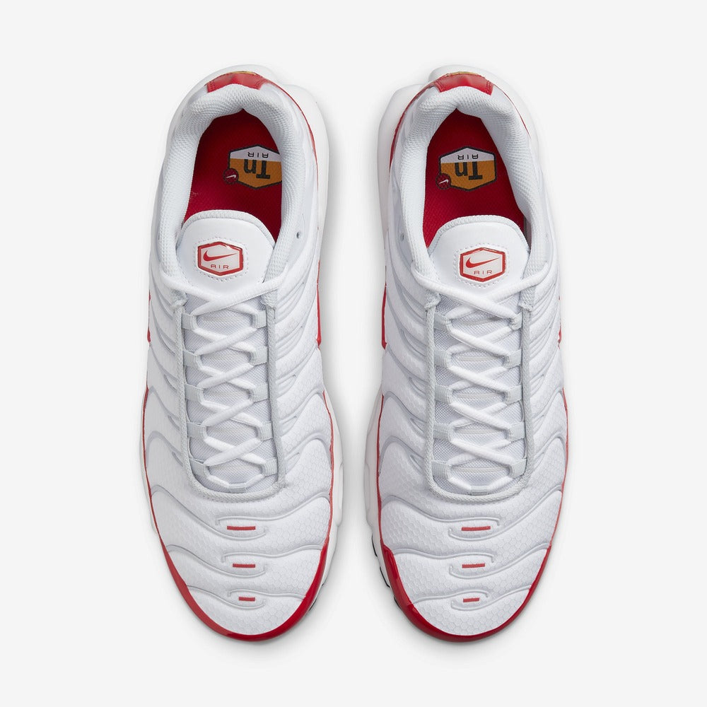 Nike Air Max Plus Air Max 1 DM8332-100