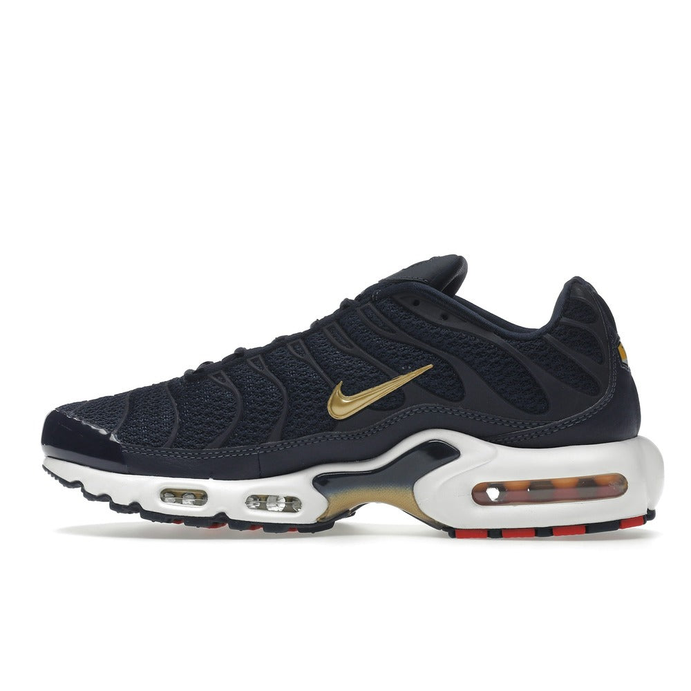 Nike Air Max Plus French Football Federation FB3350-400