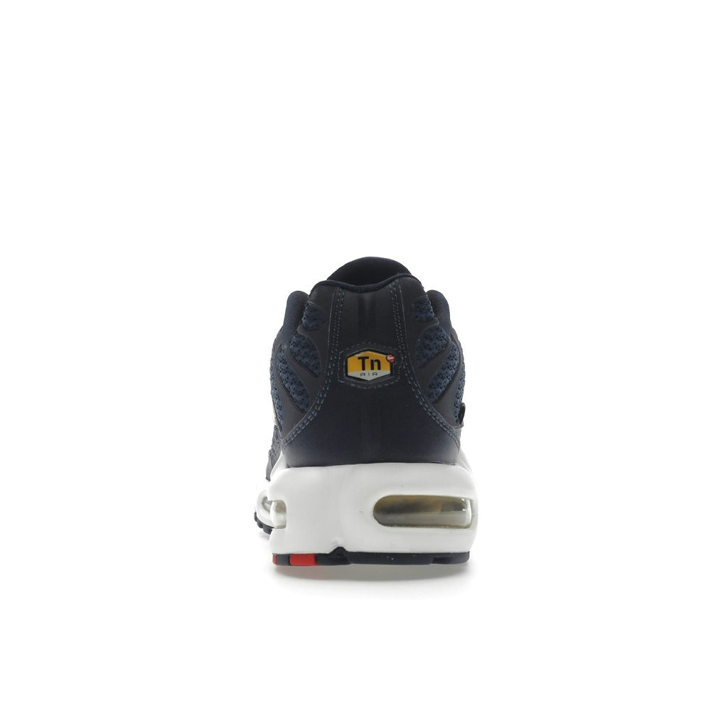 Nike Air Max Plus French Football Federation FB3350-400