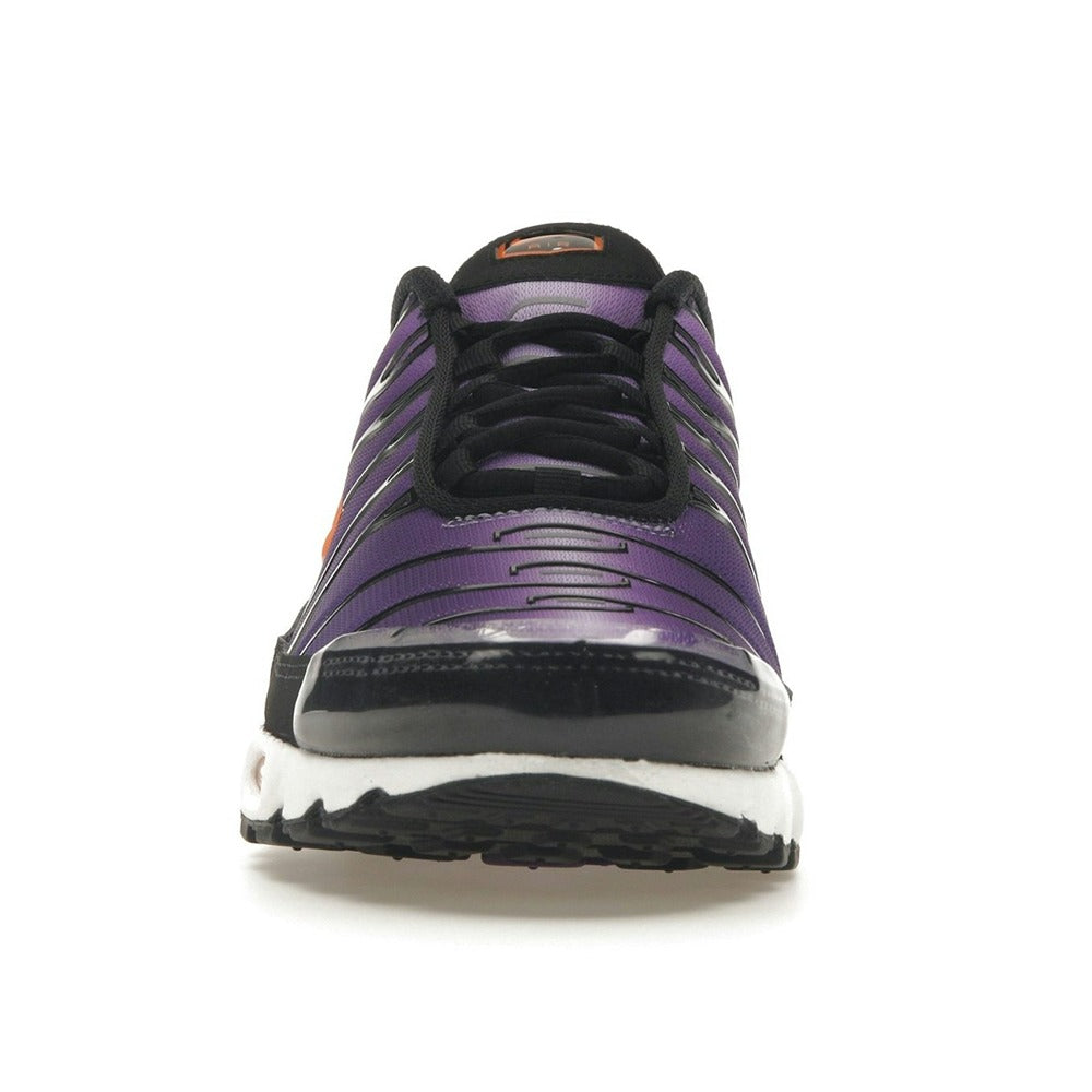 Nike Air Max Plus OG Voltage Purple (2024) DX0755-500
