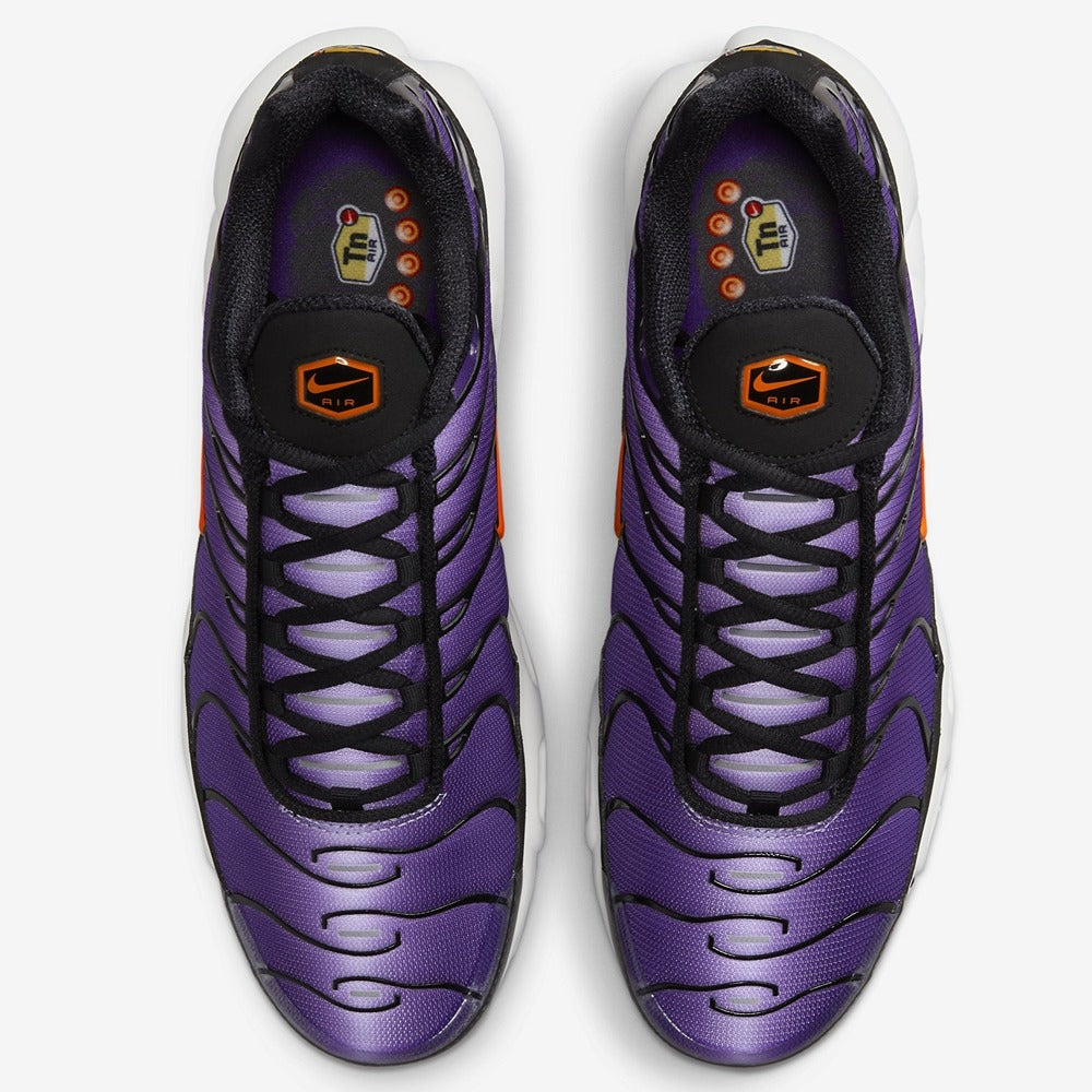 Nike Air Max Plus OG Voltage Purple (2024) DX0755-500