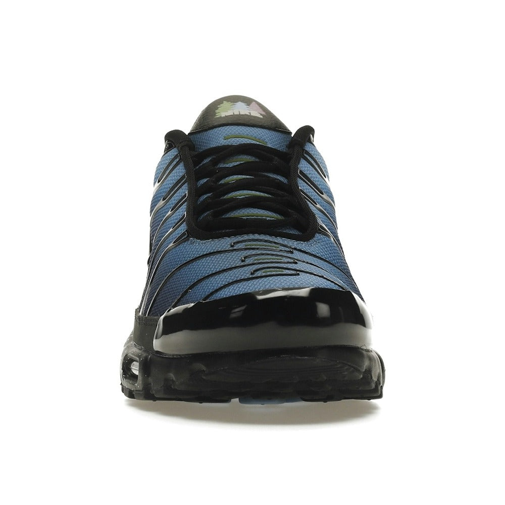 Nike Air Max Plus Stargazing DV3493-001