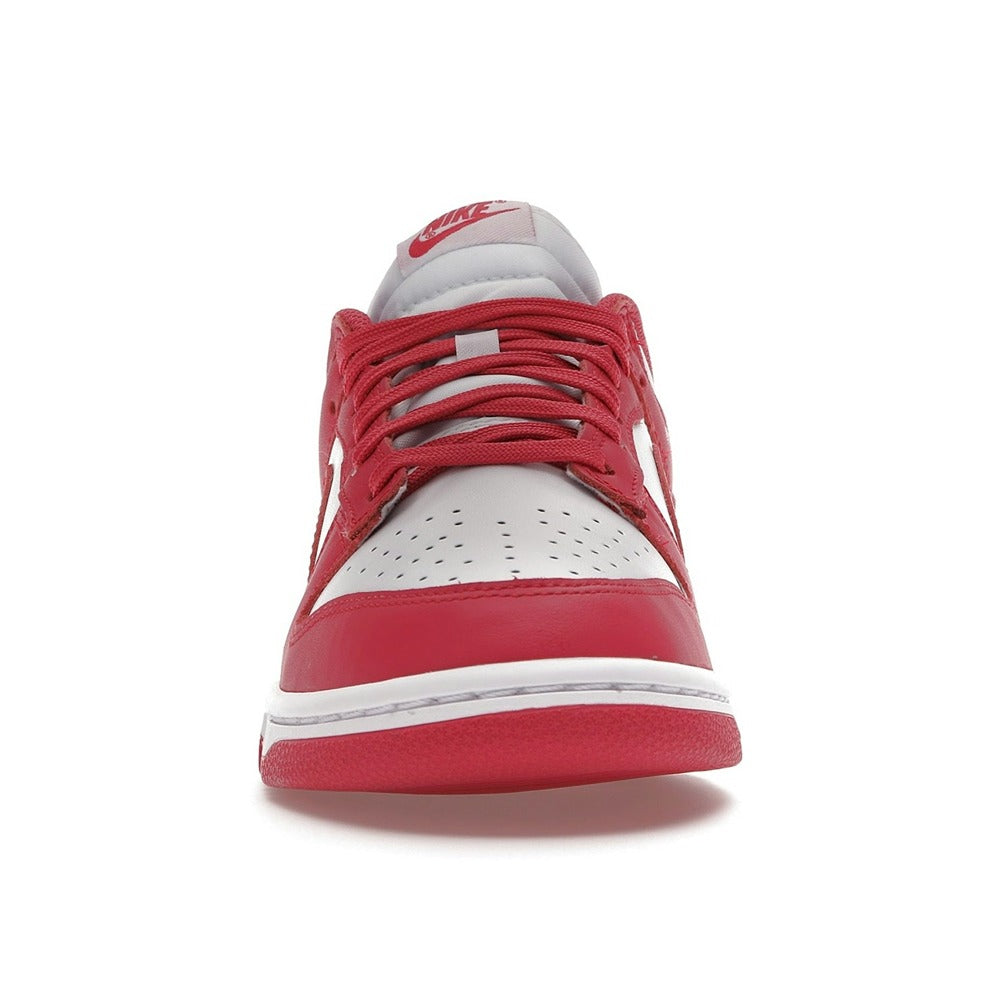 Nike Dunk Low Archeo Pink (Women Exclusive) DD1503-111