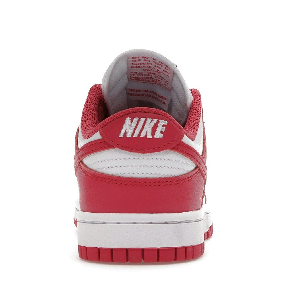 Nike Dunk Low Archeo Pink (Women Exclusive) DD1503-111