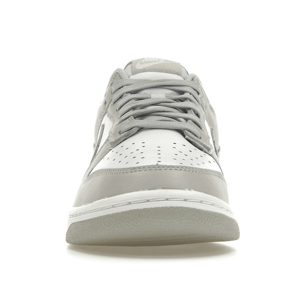Nike Dunk Low Grey Fog DD1391-103