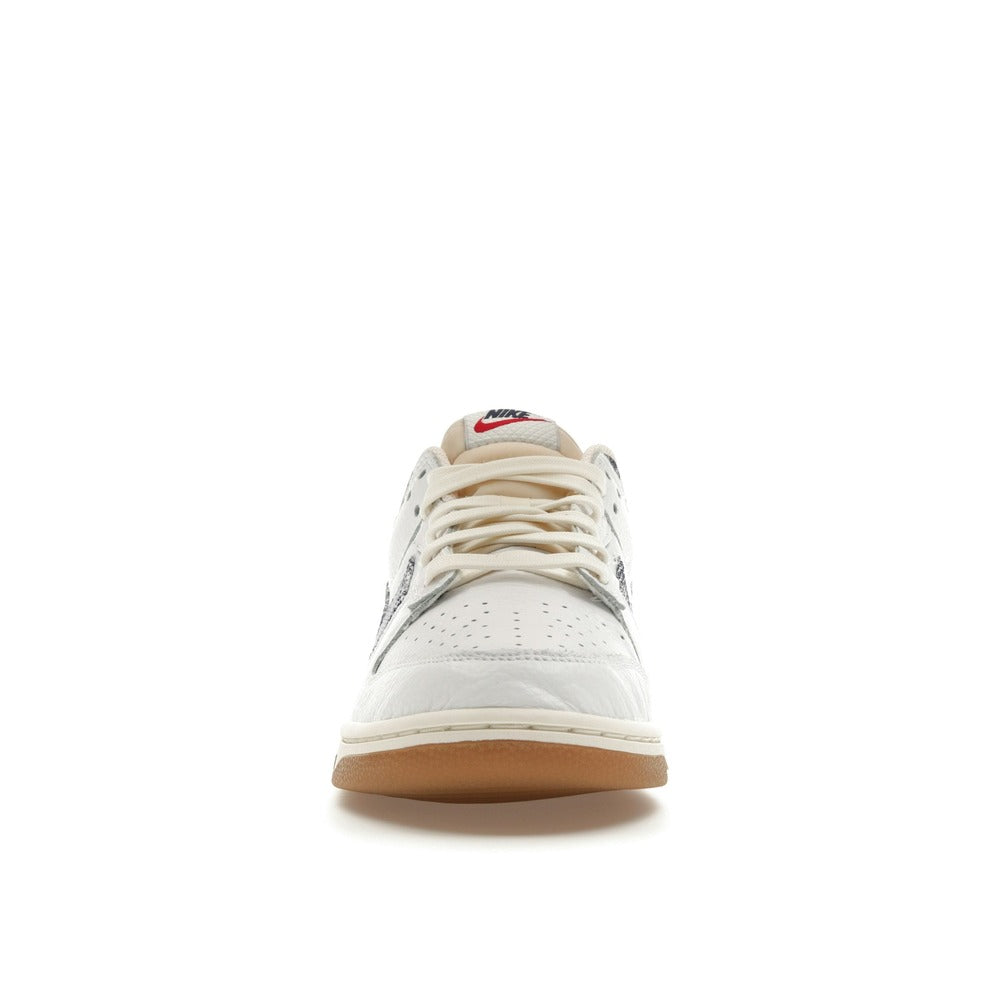 Nike Dunk Low Washed Denim FN6881-100