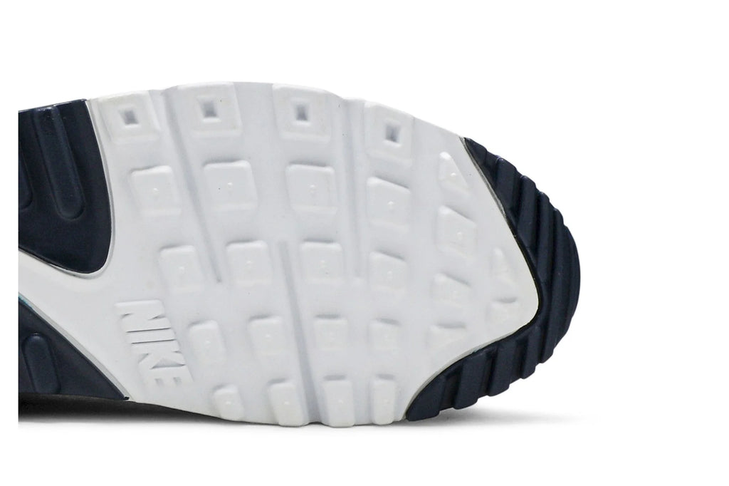 Nike Air Max 90 Essential 'Michigan' AJ1285-101